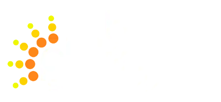 Black Platinum Solar & Electric logo